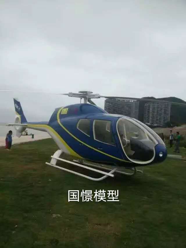 甘谷县飞机模型